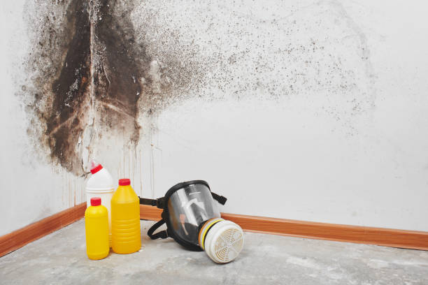 Best Mold Cleaning Services  in Apple Mountain Lake, VA