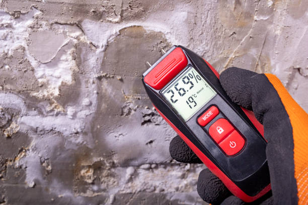 Best Same-Day Mold Removal  in Apple Mountain Lake, VA