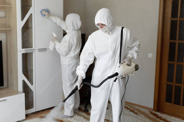 Best Mold Damage Repair  in Apple Mountain Lake, VA
